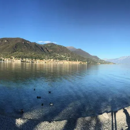 Elena Villa *
